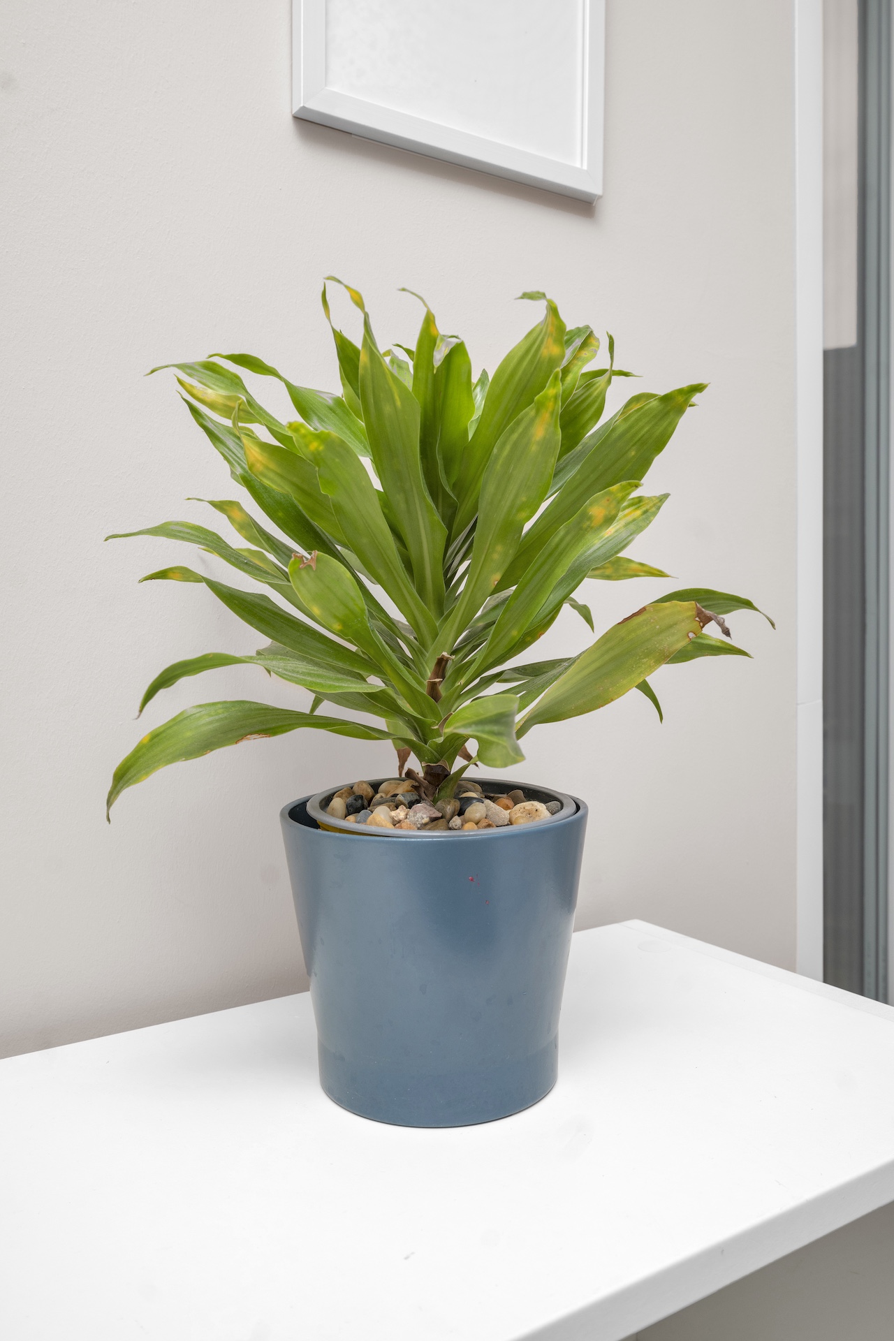 tenant-ready interior photography