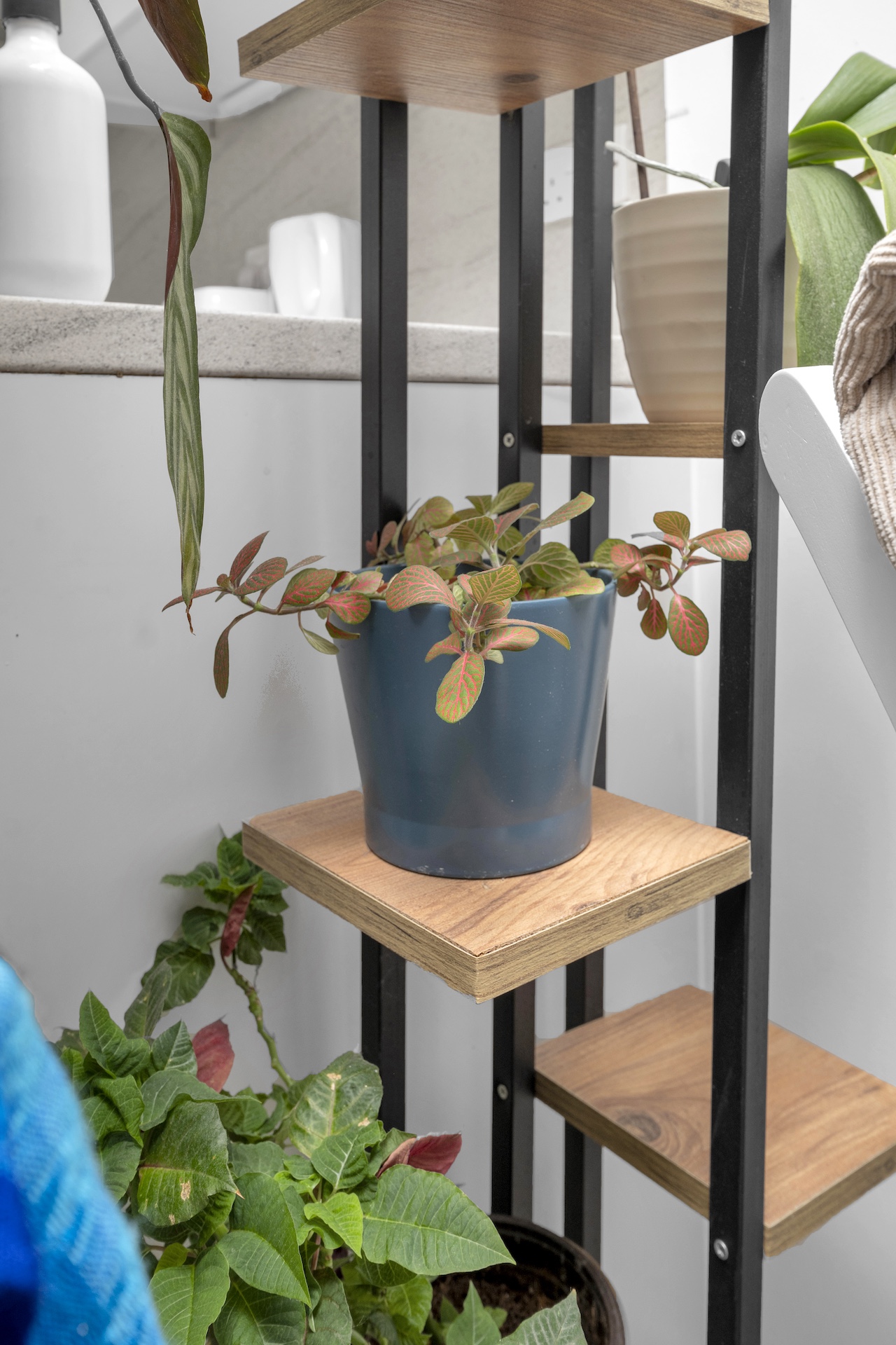 estate agent photography SE15